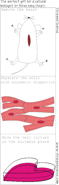 valentines day heart tissue.png
